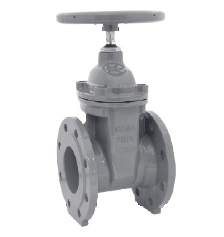 Zasuwa kołnierzowa, DN65, LFP, typ IGS 3222